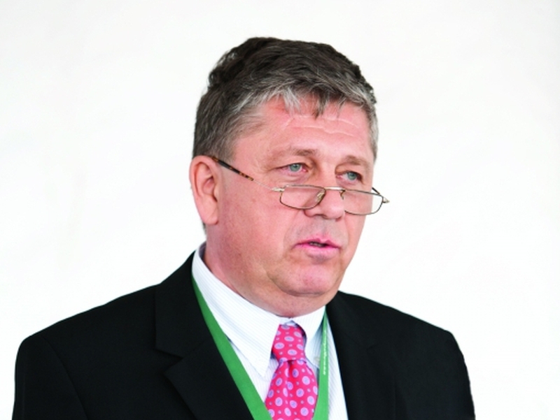 Házi Zoltán, 365 üzleti történet