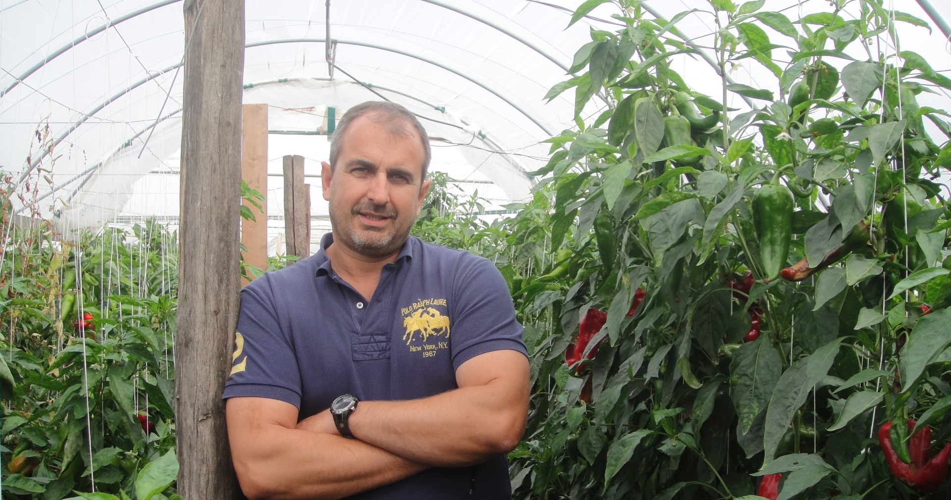 Egy sikeres csapatépítés váratlan következménnyel Héjjas Gábor, 365 üzleti történet