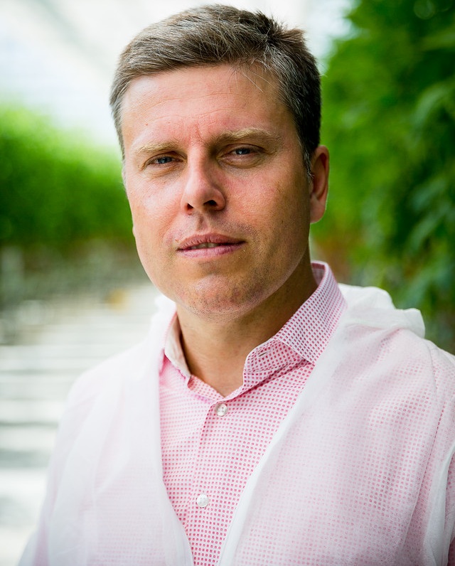 Fürkészdarázs védi Cukorfalatot Márkus Zsolt, a Veresi Paradicsom Kft. tulajdonos ügyvezetője