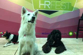 HRFest, a jövő munkahelyei, változás