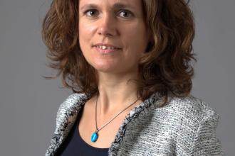 Balatoni Judit, 365 üzleti történet