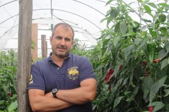 Héjjas Gábor, 365 üzleti történet